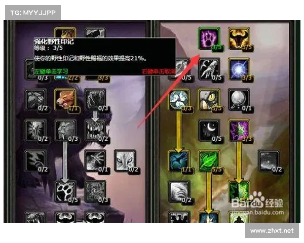 魔兽TBC奶德生活技能选择指南 魔兽TBC奶德生活技能选择指南